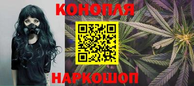 прущие грибы Заводоуковск
