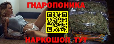 амф Заволжье