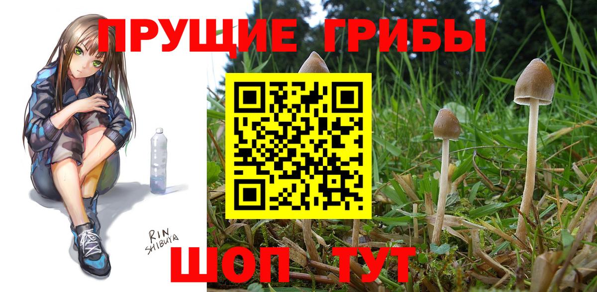 Качканар  Галлюциногенные грибы GOLDEN TEACHER  Вход с VPN 