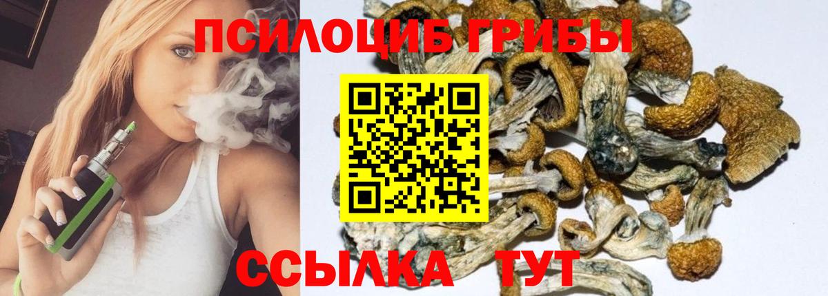 Псилоцибиновые грибы мухоморы Качканар